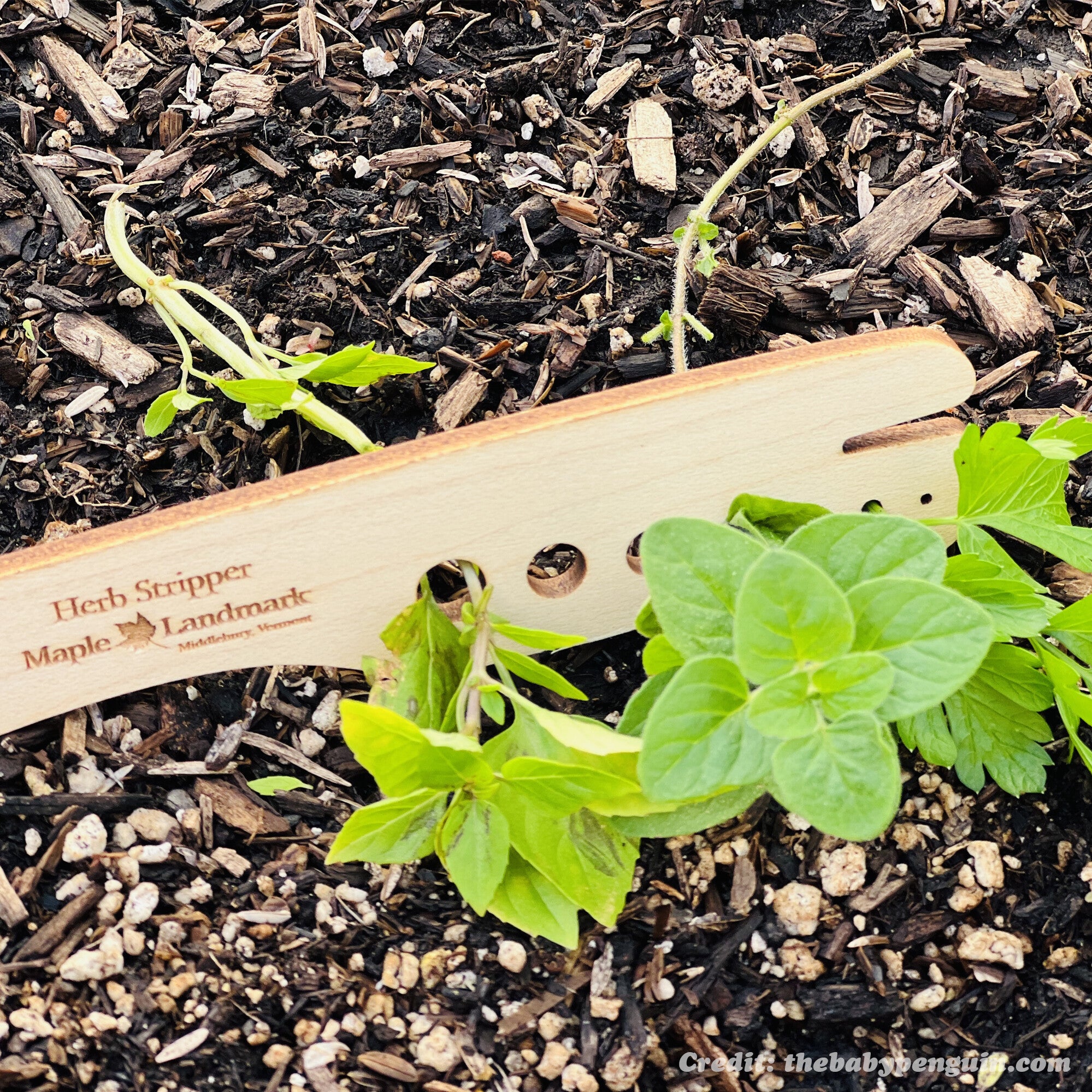 Wooden Herb Stripper